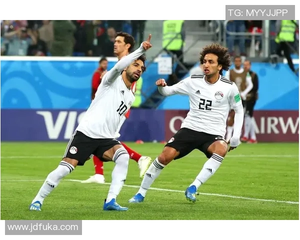 甩锅对手用“巫术”,尼日利亚接连无缘世界杯谁之过?